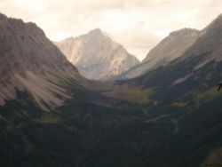 2013-09-08_6Falkenh-Steinfalk (055).JPG